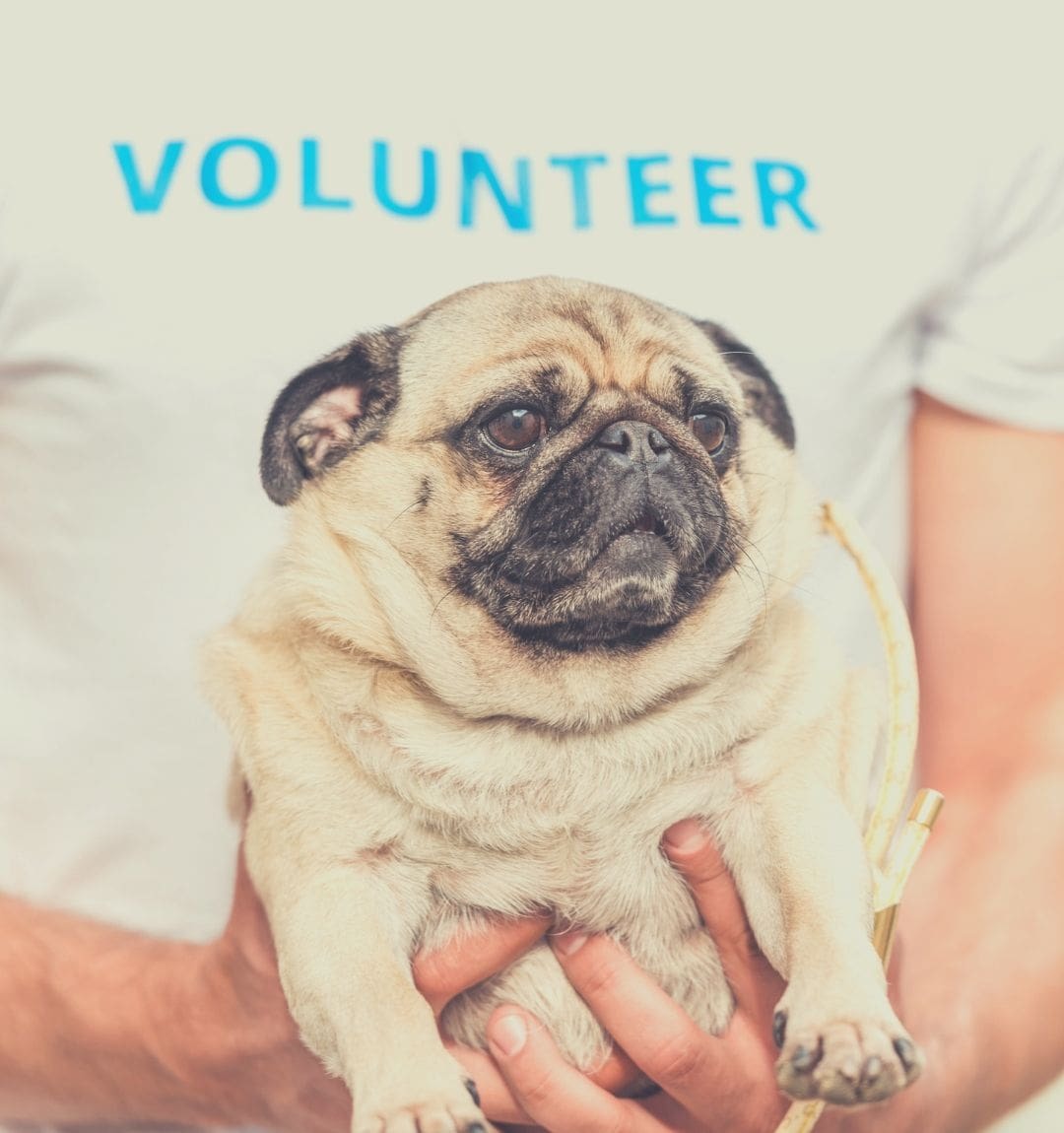 volunteer what can I say to make someone happy | how do you make a sad person happy | can another person make you happy