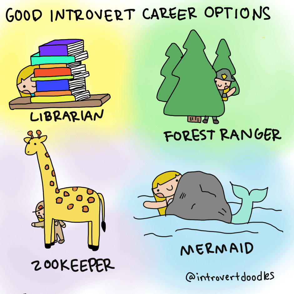 career  options for introverts