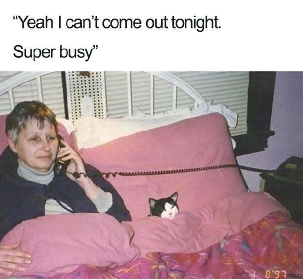 cant come super busy | introvert memes quarantine | memes introverts will understand