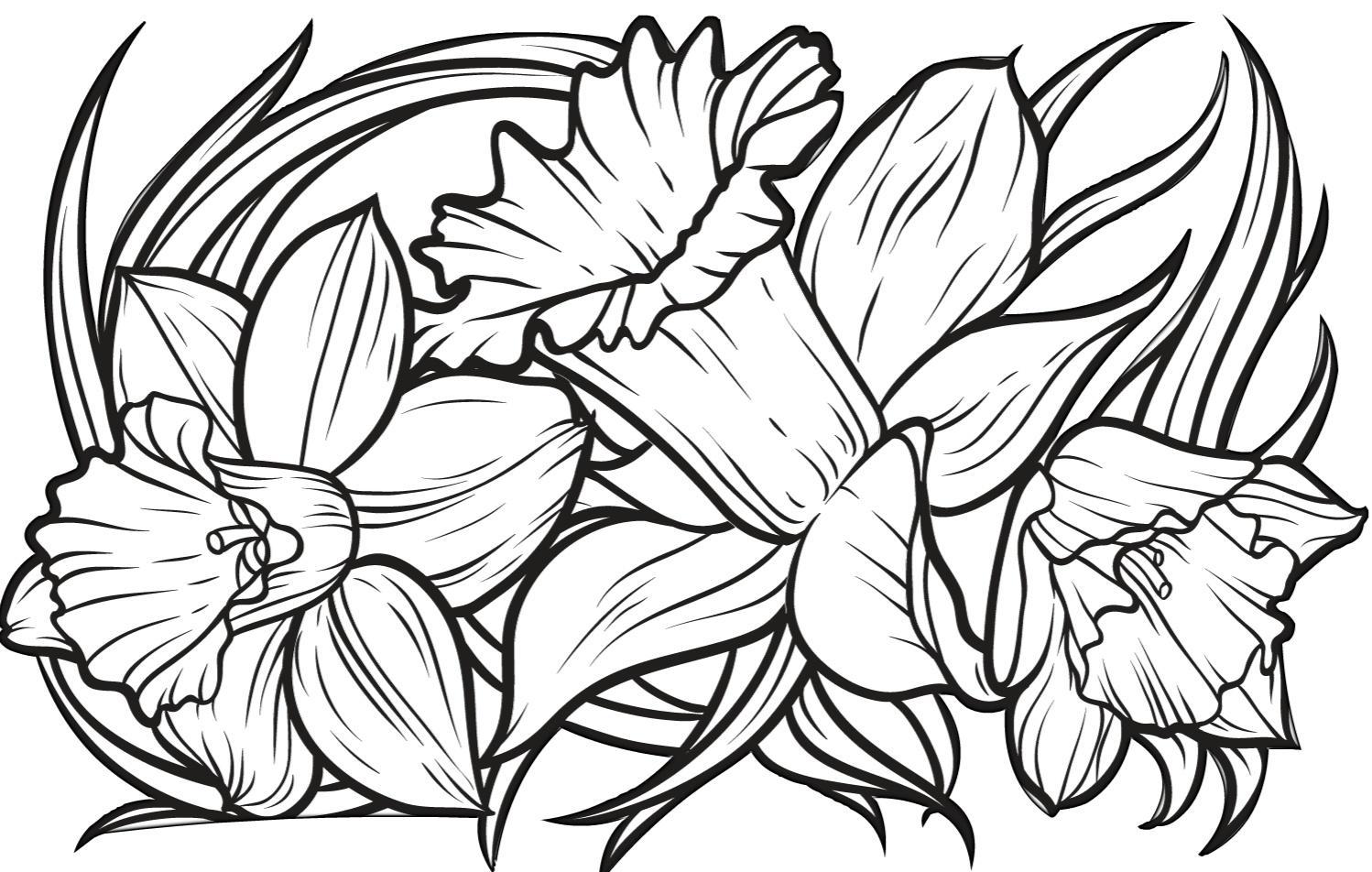 Flowers for Seniors | simple coloring pages | easy coloring pages for kids