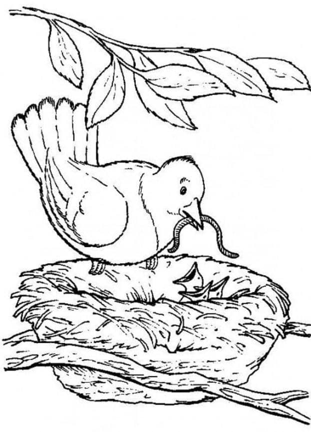 Parent Bird | easy coloring pages for seniors with dementia | printable easy coloring pages for seniors