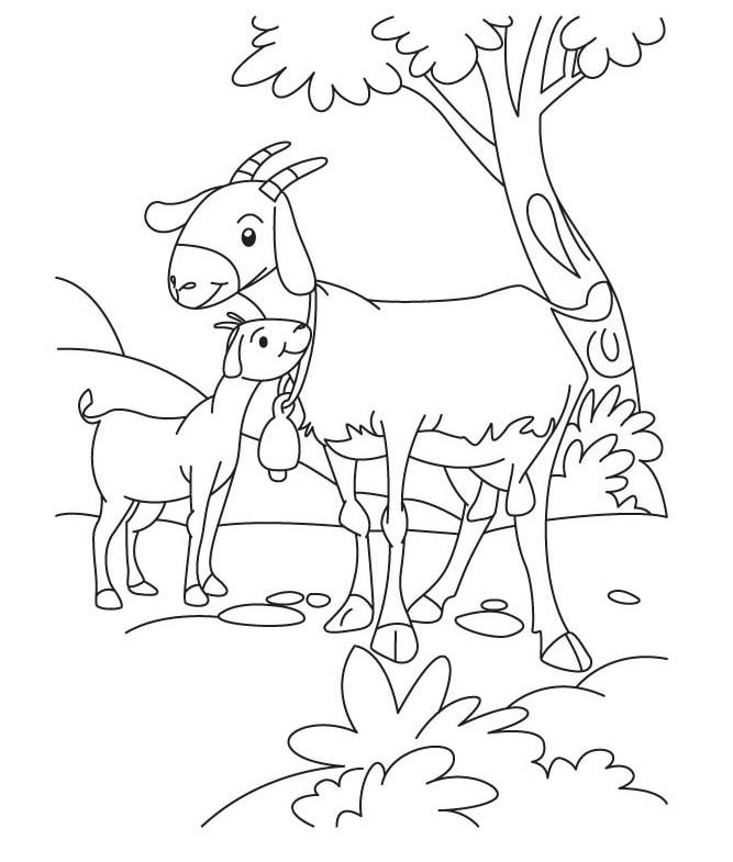 Baby Goat and Mommy Goat | farm animal coloring pages for preschoolers | farm animal coloring pages to print out