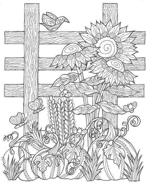 Sunflower Pumpkin Patch | autumn leaves colouring pages | autumn coloring pages