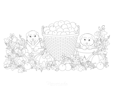 Apple Harvest | first day of fall coloring pages | fall coloring pages for adults