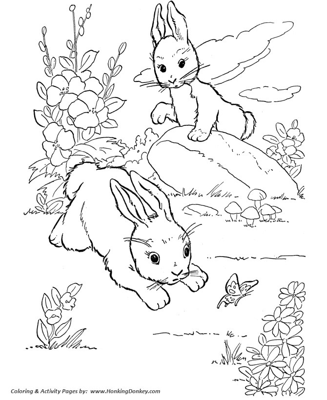Rabbits at Play | cute farm animal coloring pages | preschool farm animal coloring pages