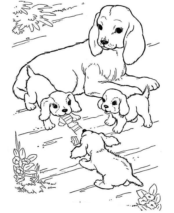Puppies Playing with Mommy | barn and farm animal coloring pages | free printable farm animal coloring pages