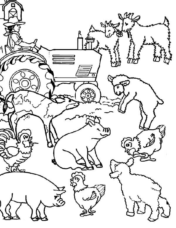 Farm Gang Complete | cartoon farm animal coloring pages | toddler farm animal coloring pages