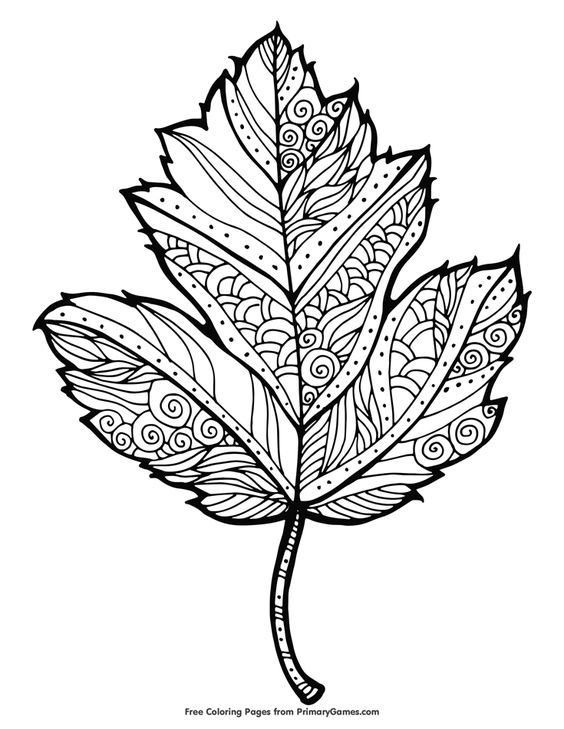 Maple Leaf Design | fall pumpkin coloring pages | first day of fall coloring pages