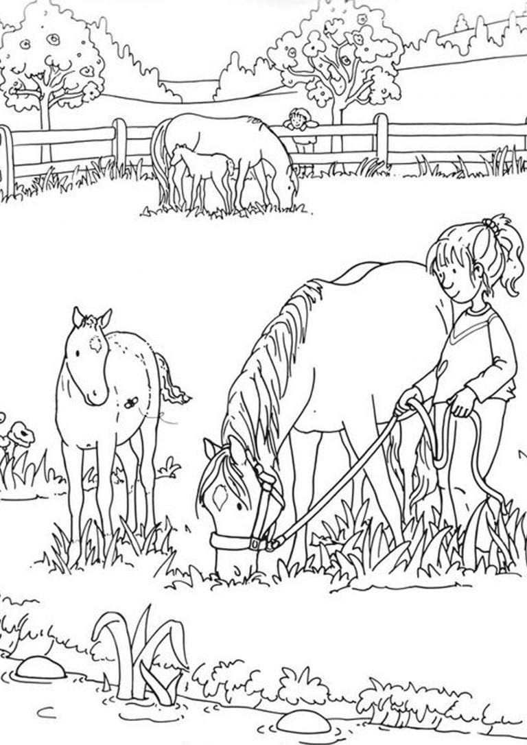Feeding the Horses | farm coloring pages | farm animal coloring pages for adults