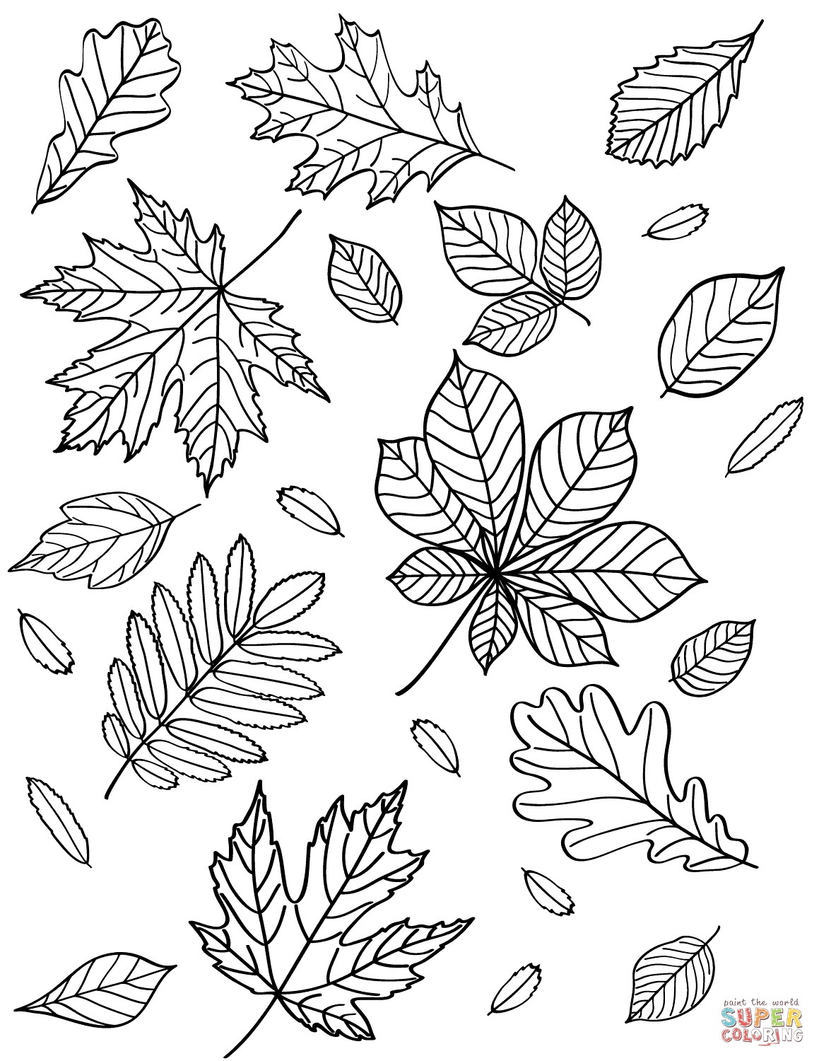 free printable leaf coloring pages | fall leaves coloring pictures | free coloring fall leaves