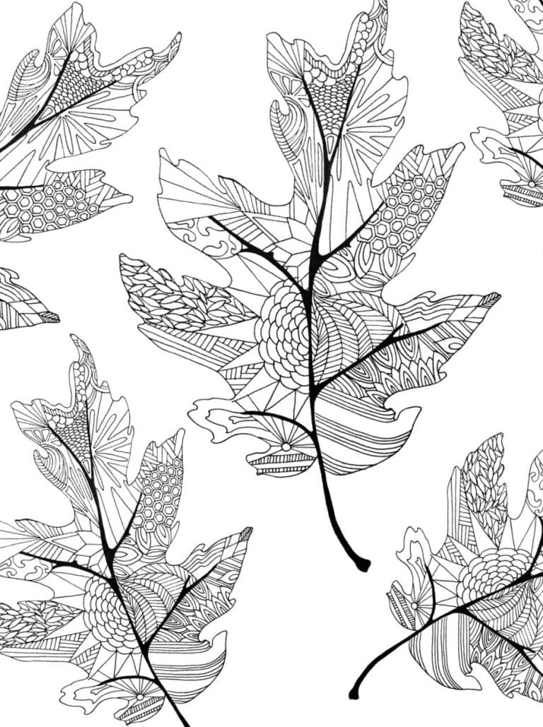 autumn leaves and acorns coloring page | fall leaves coloring pictures | fall leaves to color and print