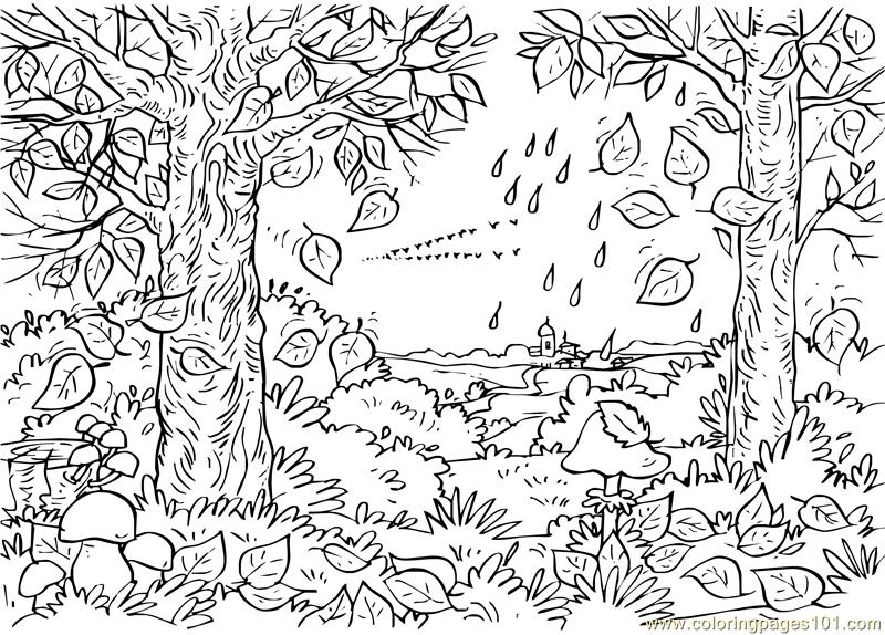 free coloring fall leaves | fall leaves coloring pages for kindergarten | fall leaves coloring pages for adults