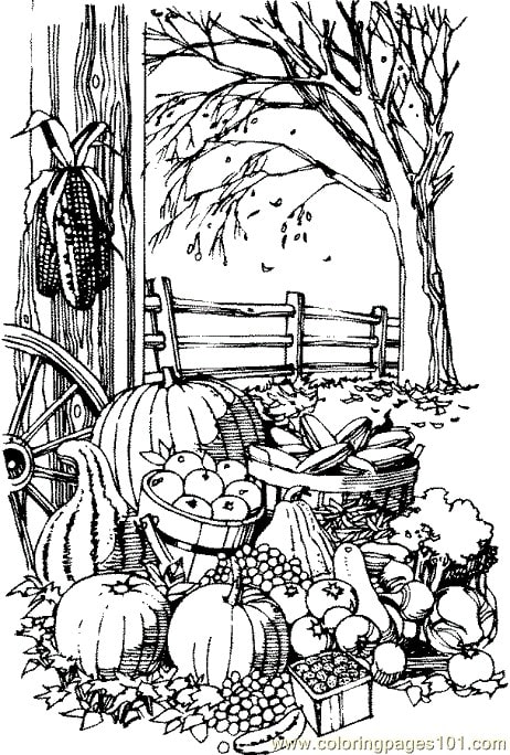Fall Harvest | Coloring Pages 101 | thanksgiving coloring pages