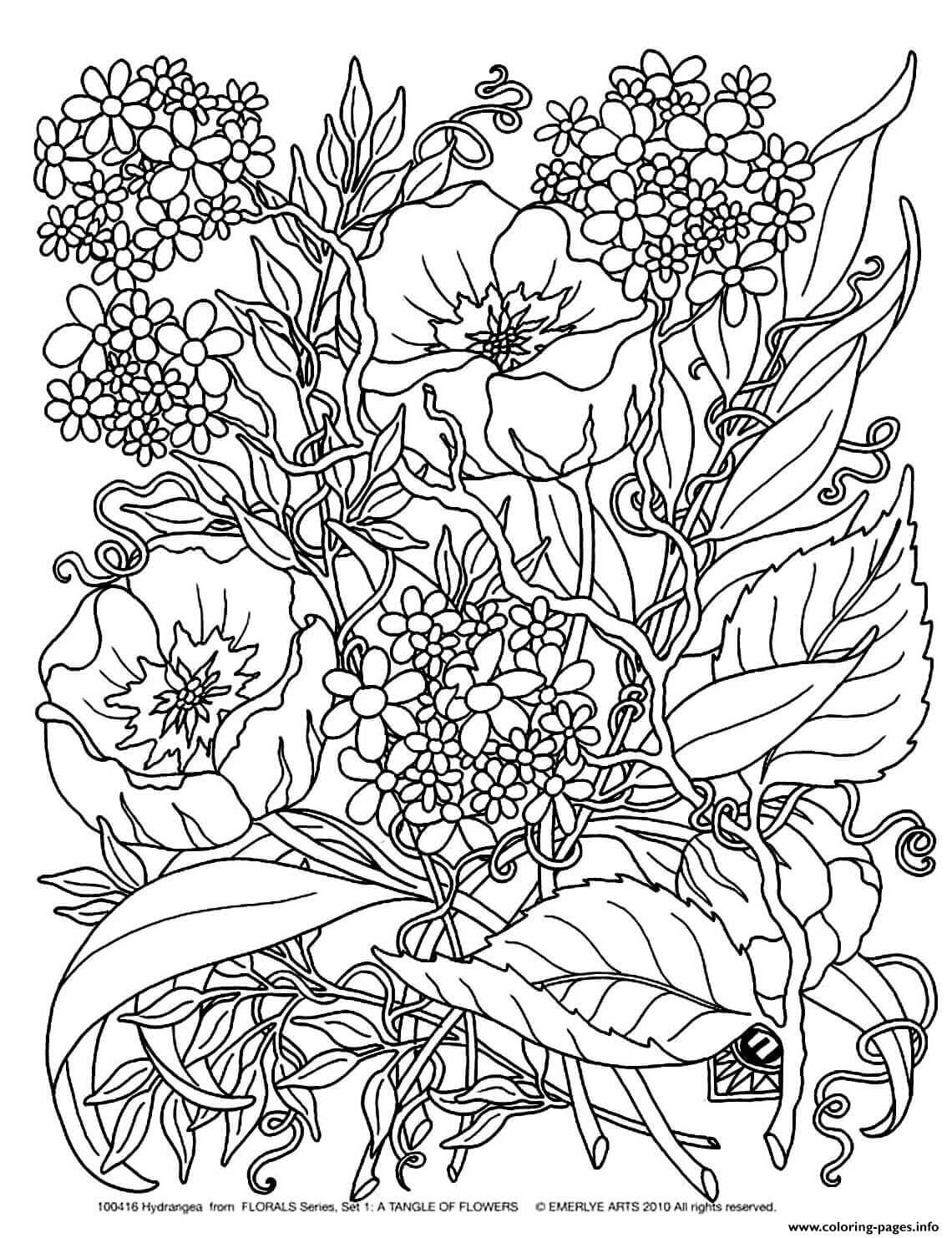 flower coloring pages printable | flower coloring pages for adults | flower coloring pages for adults