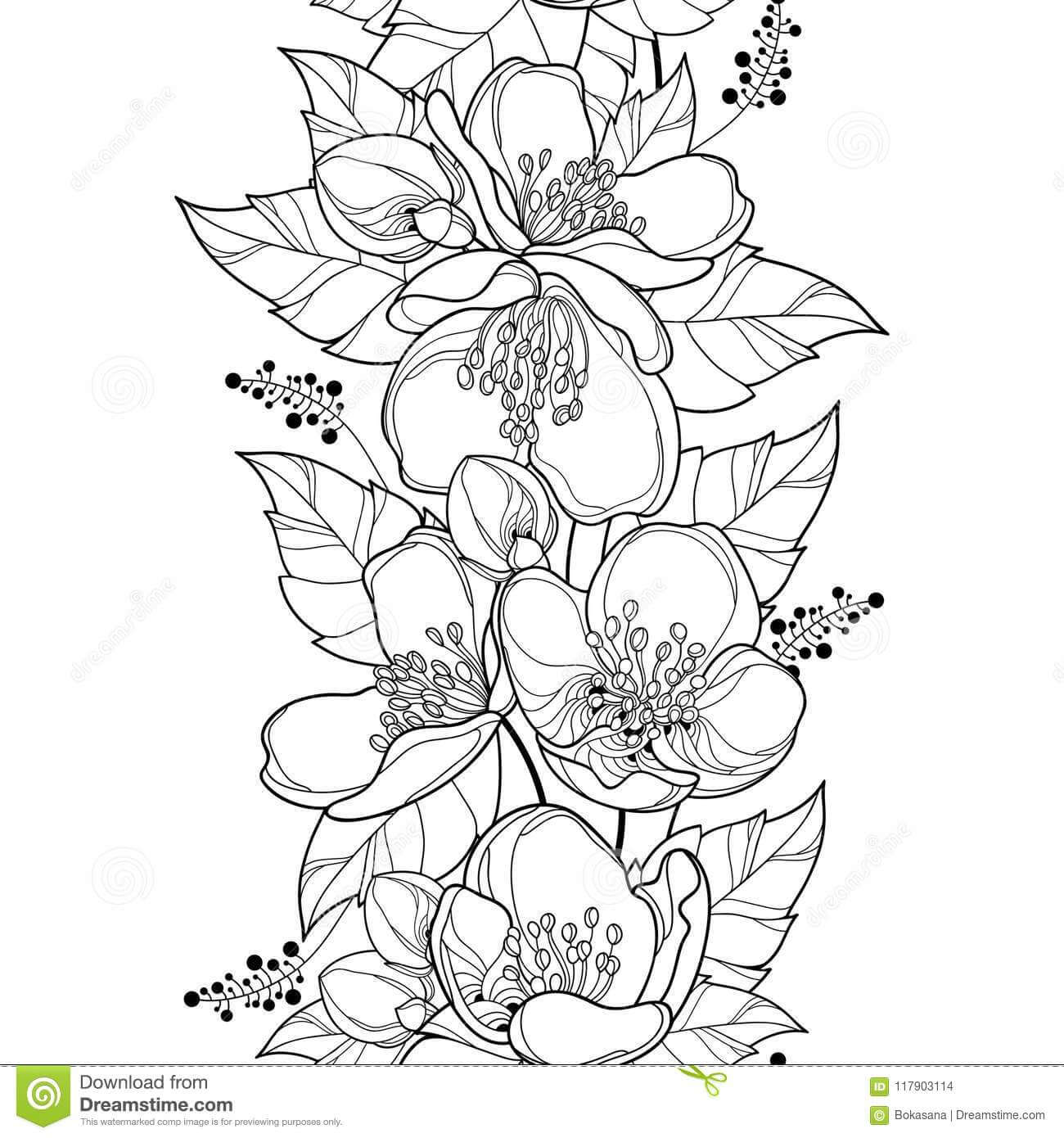 flower coloring pages for adults | beautiful flower coloring pages for kids & adults | simple flower coloring pages pdf