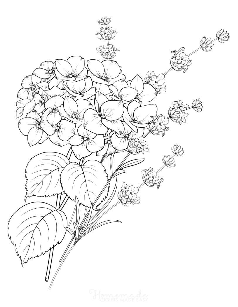 Free Printable Flower Coloring Pages For Adults