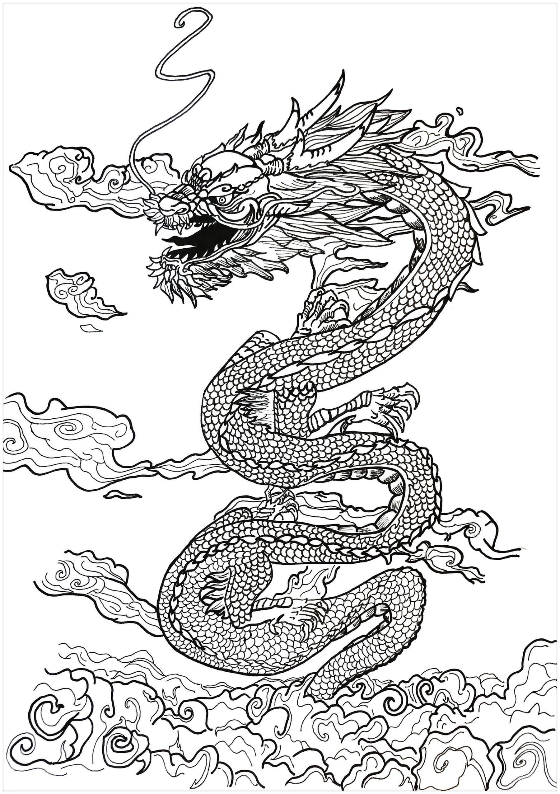 dragon adult coloring pages printable | easy printable dragon coloring pages | dragon coloring pages for kids