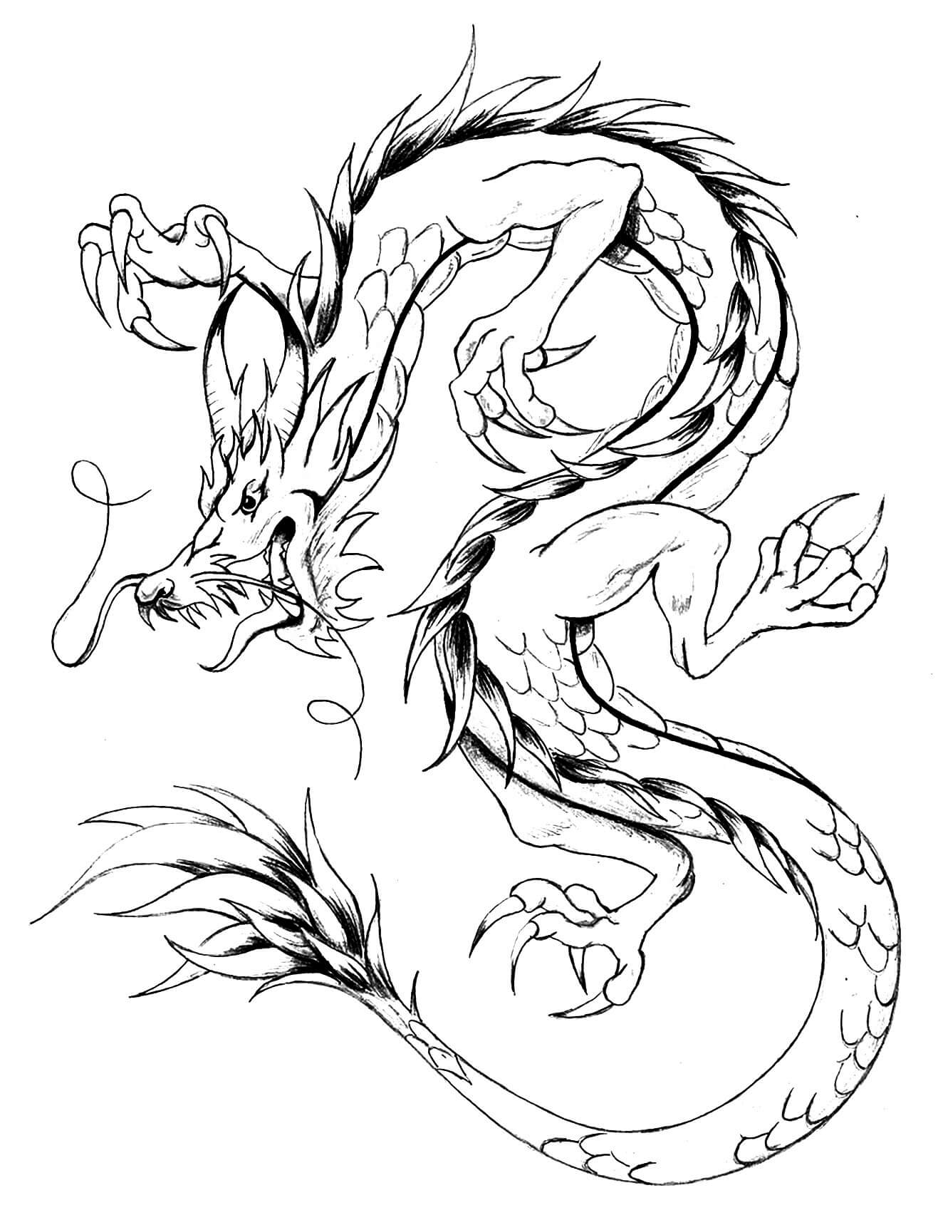 25 Printable Dragon Coloring Pages for Adults - Happier Human