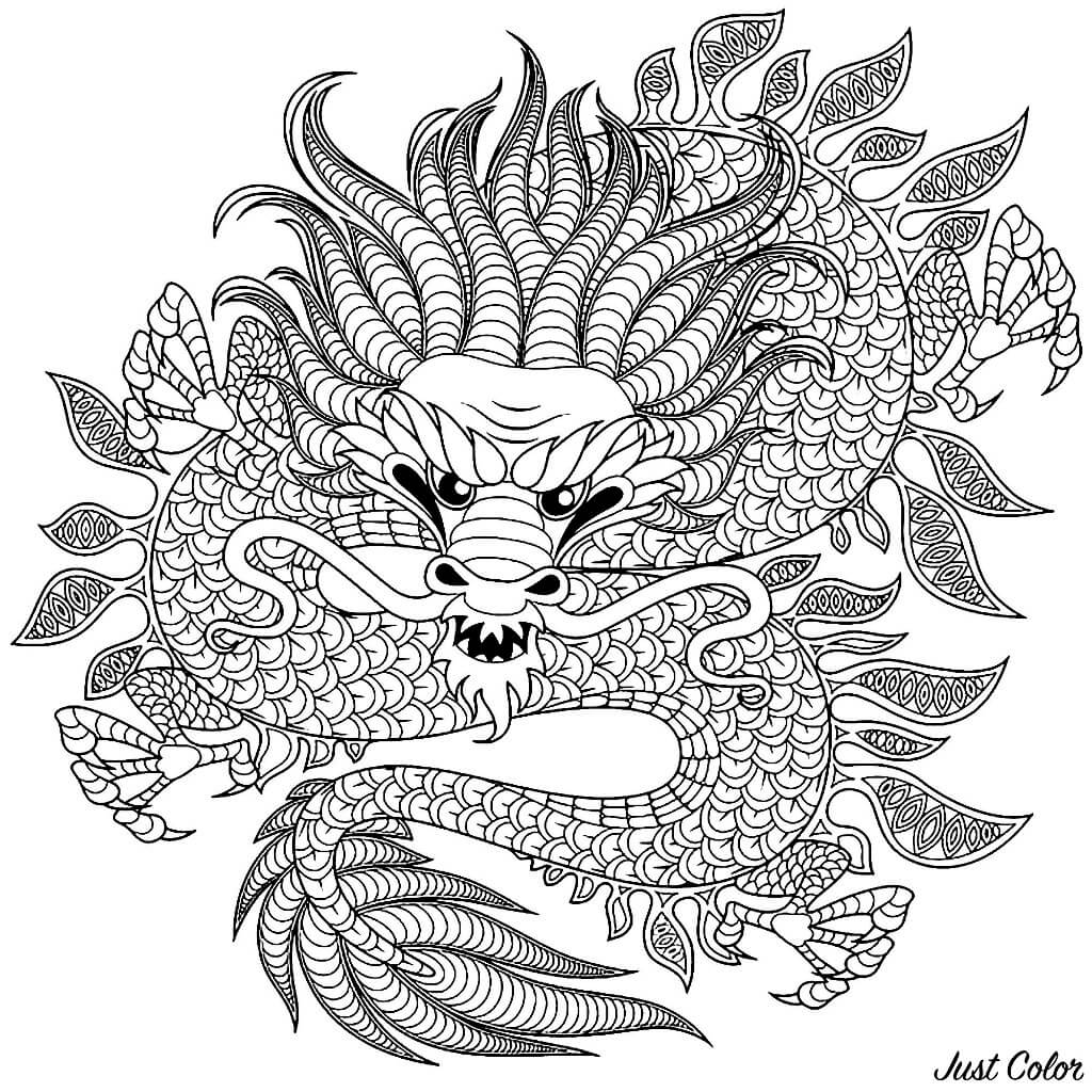 realistic dragon coloring pages | dragon adult coloring pages printable | dragon mandala coloring pages