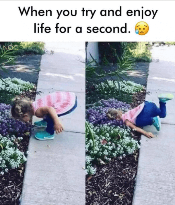 27 Funny Memes About Life For You Funny Daily