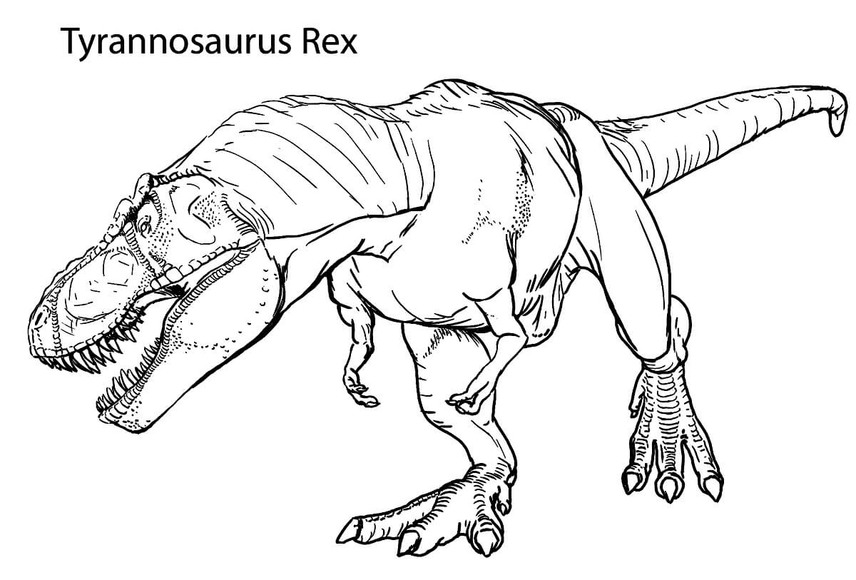 cute t rex coloring page | lego t rex coloring page | t rex coloring page pdf