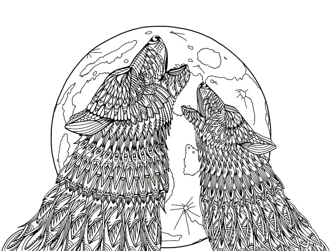 wolf coloring pages | arctic wolf coloring pages | mythical wolf coloring pages
