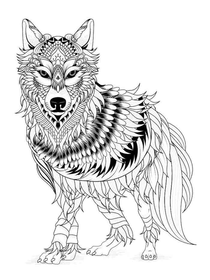 gray wolf coloring page | kc wolf coloring page | peter and the wolf coloring page