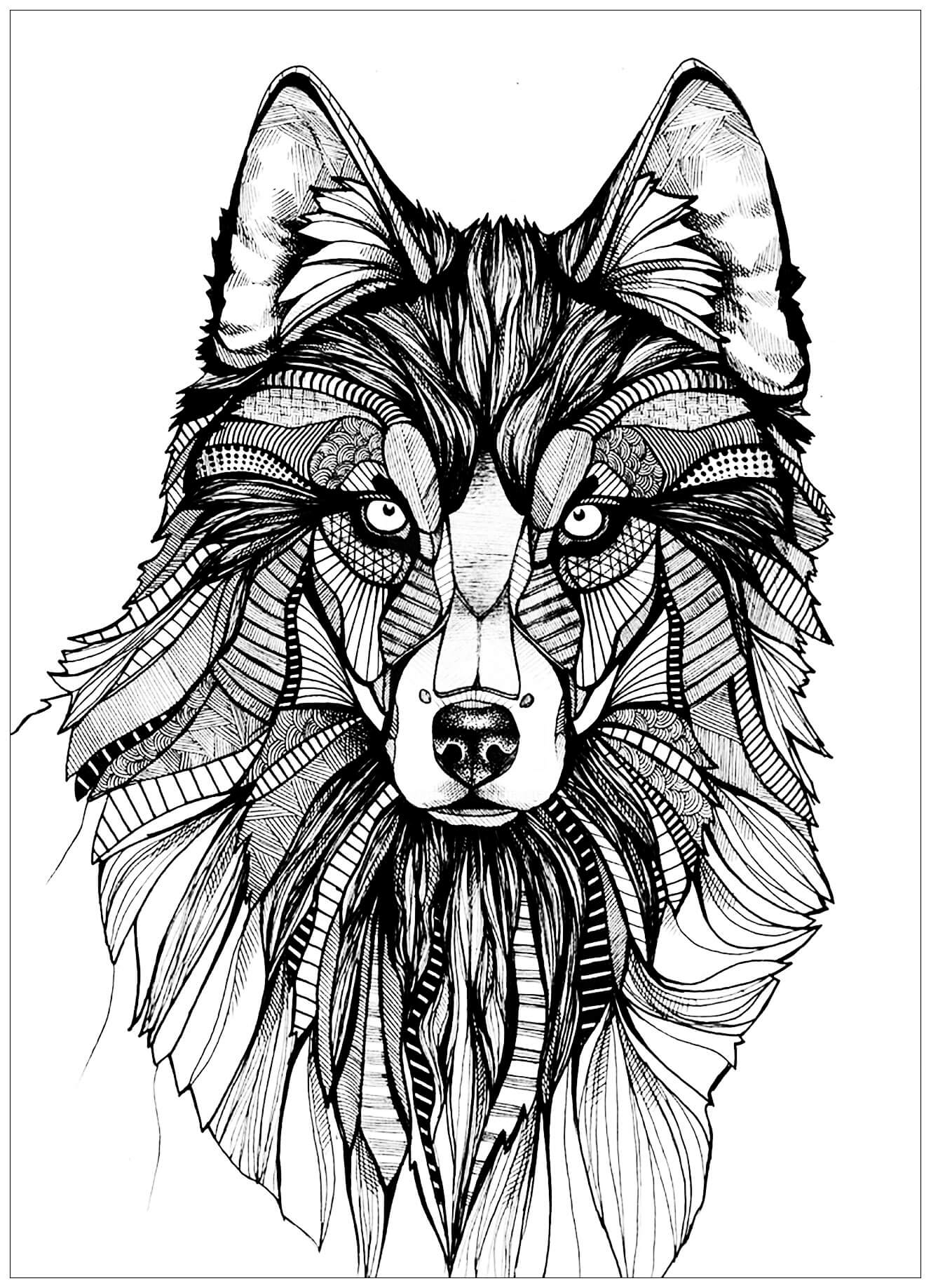 wolf coloring pages | wolfoo coloring page | wolf spider coloring page