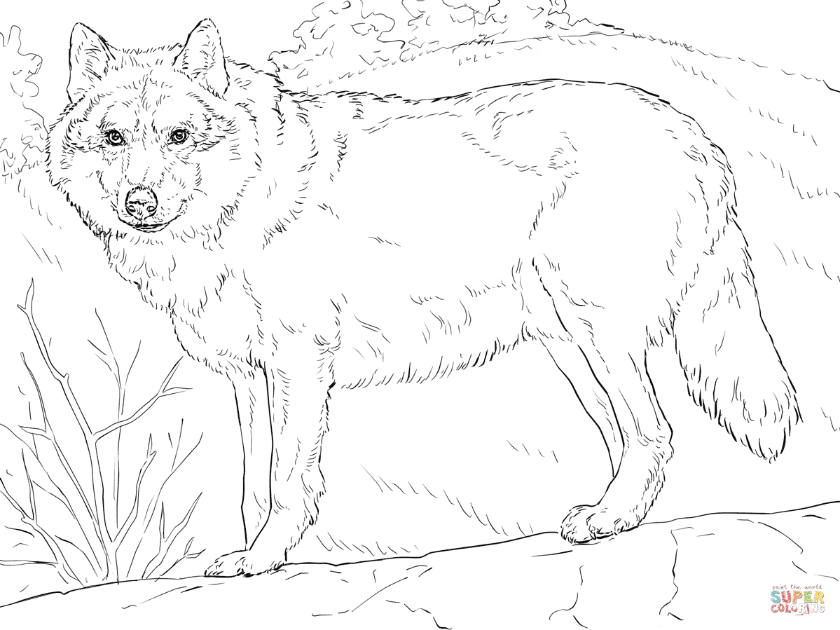 wolf coloring pages | kc wolf coloring page | peter and the wolf coloring page