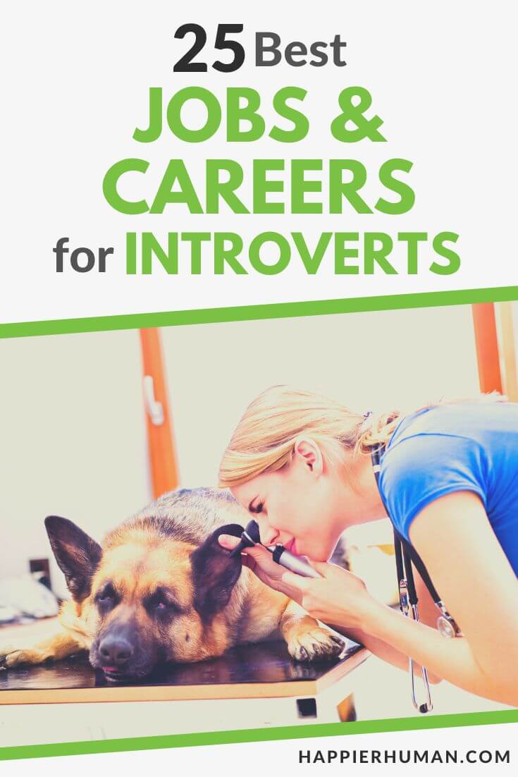25 Best Jobs & Career Paths for Introverts Happier Human