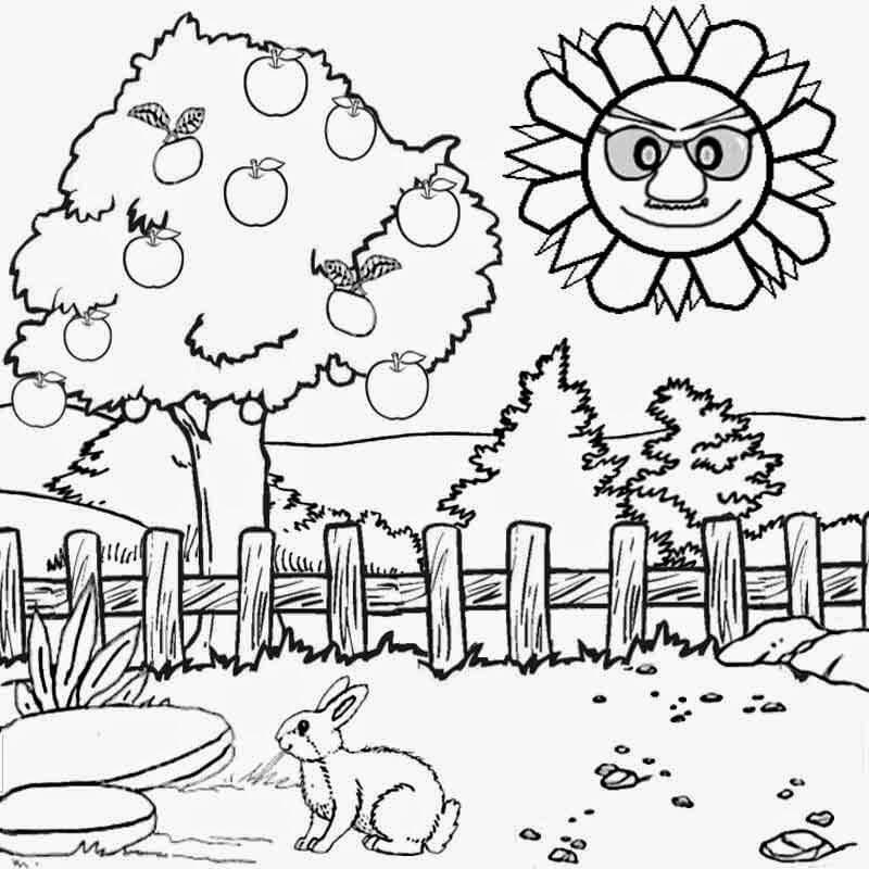 sunny day coloring pages printable | my little pony sunny coloring pages | sunny starscout coloring page