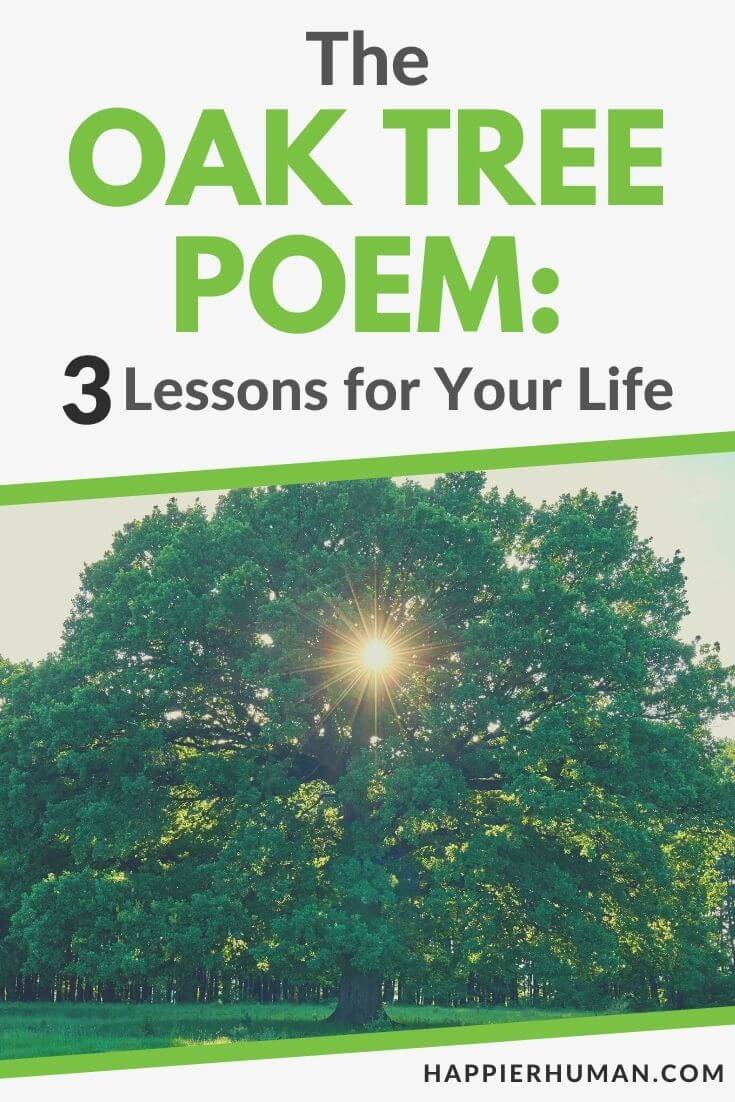the oak tree poem | the oak tree poem pdf | the oak tree poem words