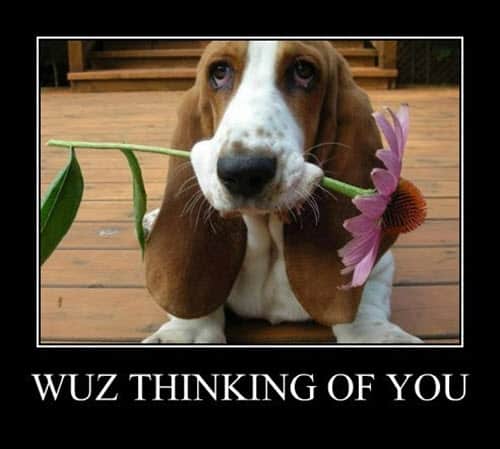 77 Funny Thinking of You Memes and Images for That Special Person