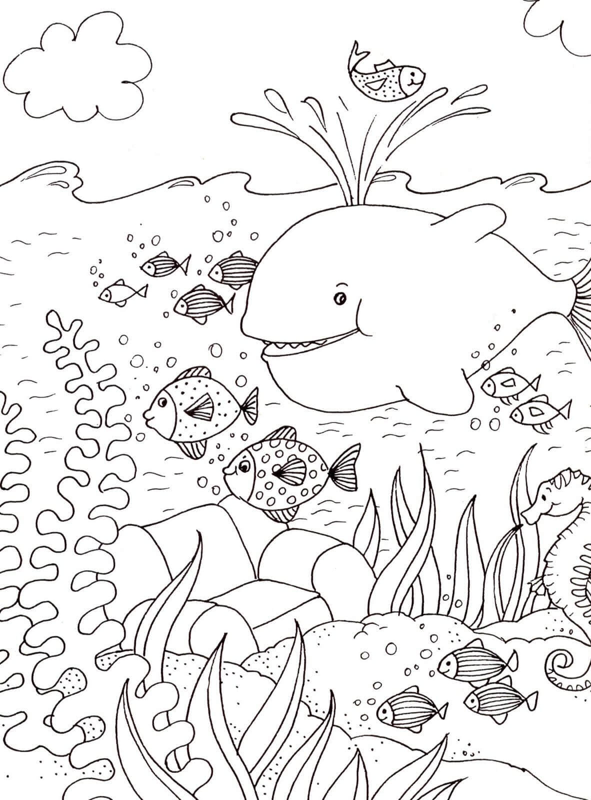 free summer coloring pages | hello summer coloring pages | summer coloring pages