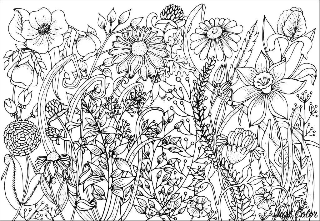 free spring coloring pages pdf | free printable spring coloring pages for adults | spring coloring pages