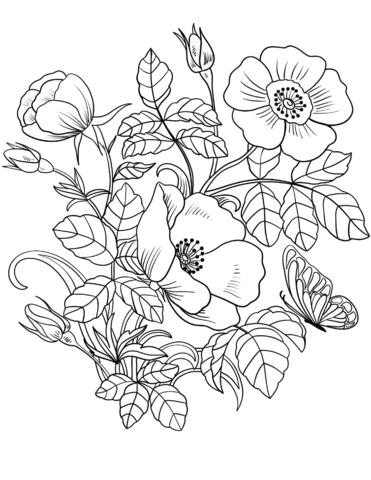 spring coloring pages for preschoolers | spring coloring pages | spring coloring pages for middle school