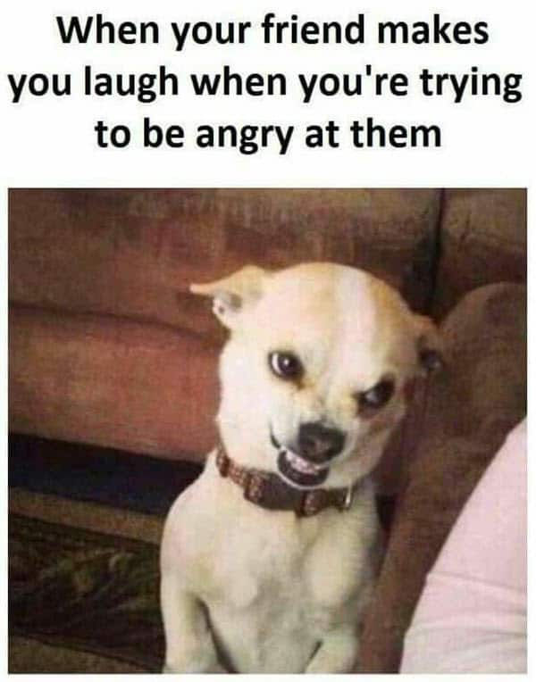 51 Anger Memes for Dealing with Pent Up Rage - Happier Human