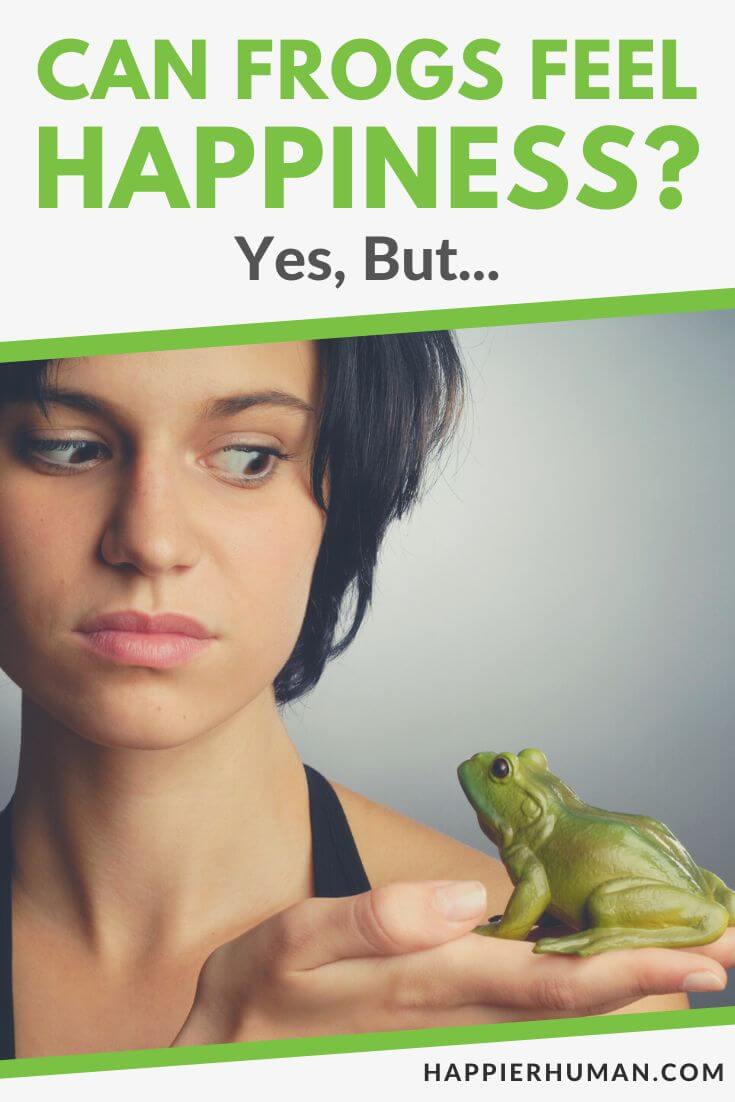 can frogs feel happiness | can toads feel happy | do frogs recognize their owner