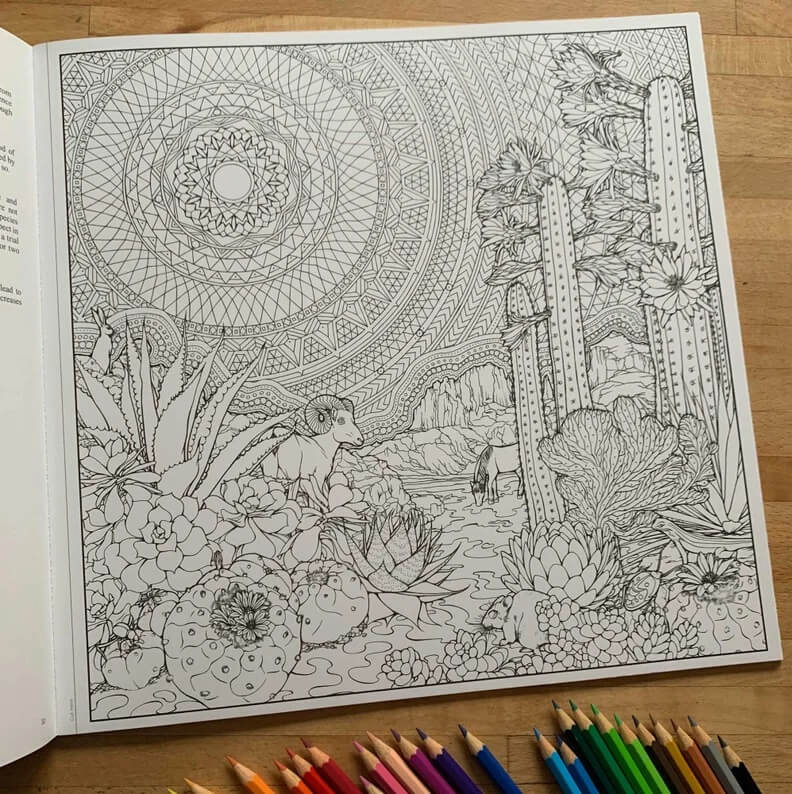 easy trippy coloring pages for adults | stoner trippy coloring pages for adults | trippy coloring pages for adults