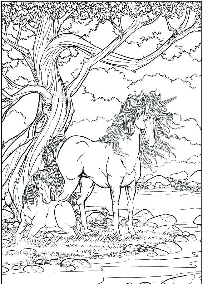 cute unicorn coloring pages for adults | detailed unicorn coloring pages for adults | realistic unicorn coloring pages for adults