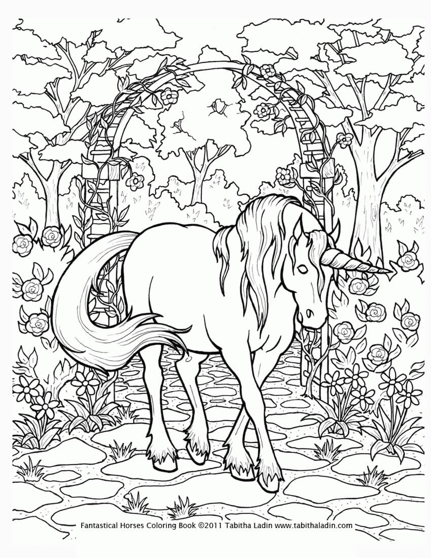 unicorn coloring book | unicorn images to print free | fairy and unicorn coloring pages