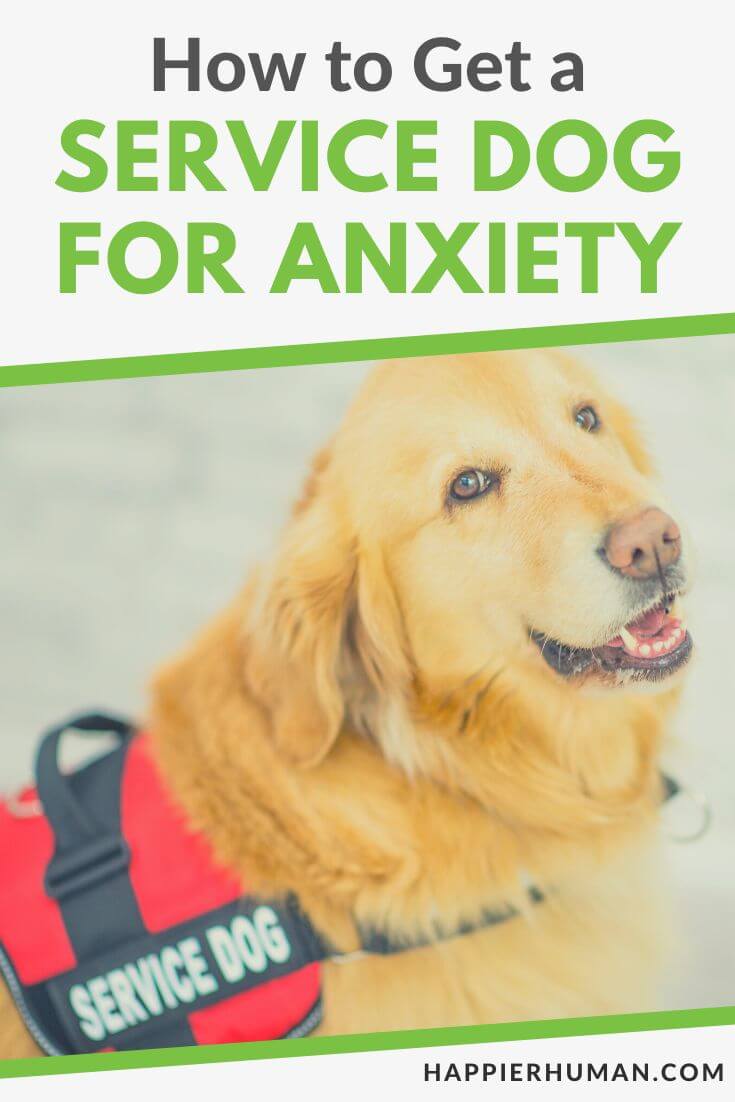 how to get a service dog for anxiety | how to get a free service dog for anxiety | how to get a service dog for anxiety and depression