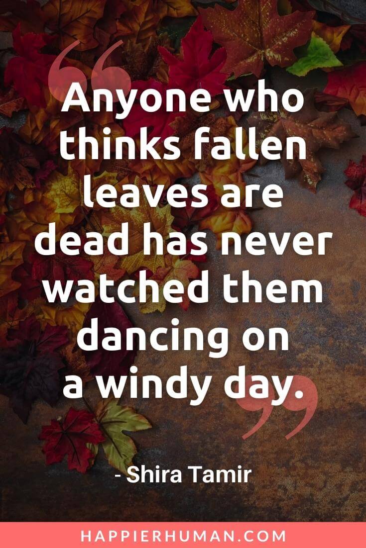October Quotes - “Anyone who thinks fallen leaves are dead has never watched them dancing on a windy day.” - Shira Tamir | october quotes short | october motivational quotes | sad october quotes