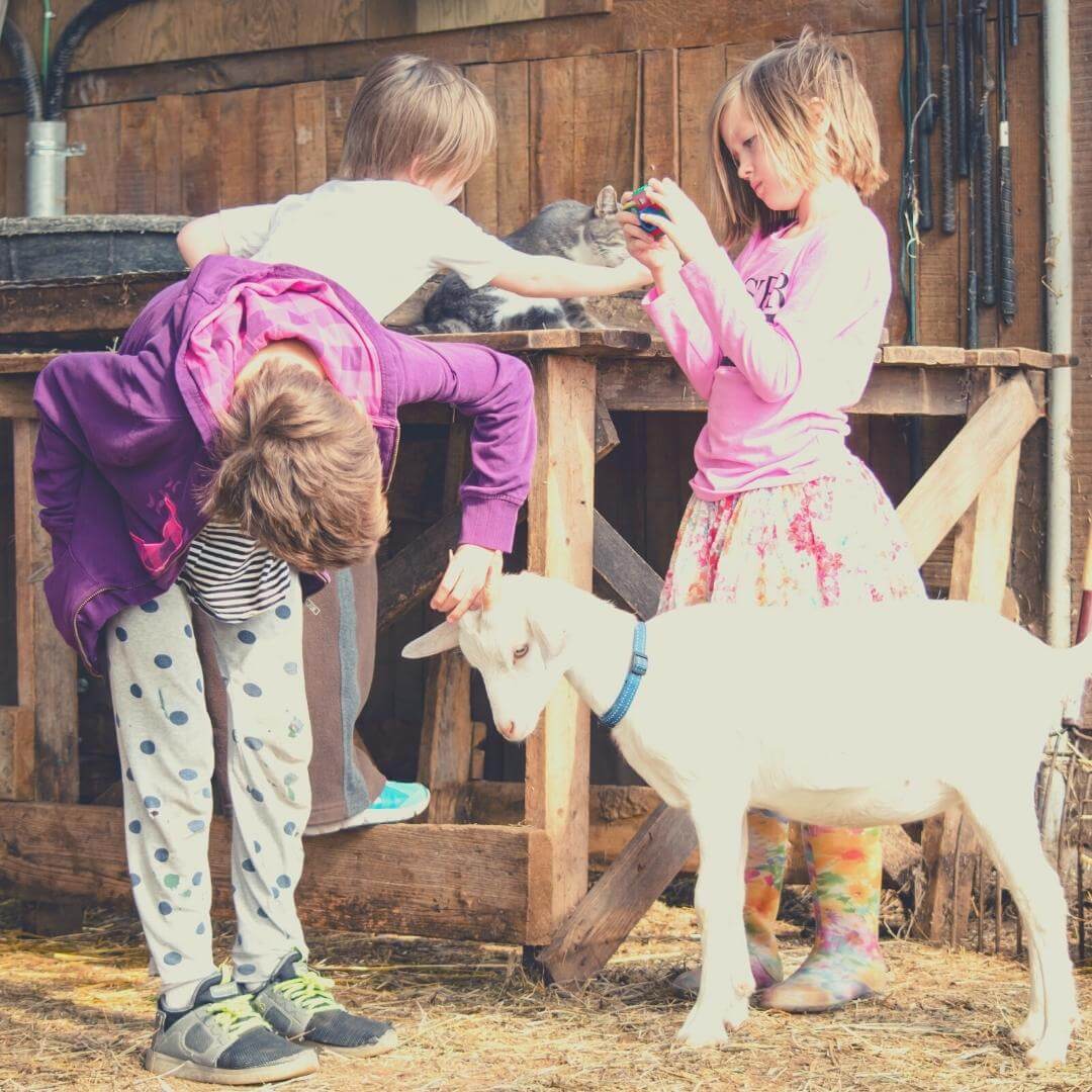 35 Best Hobbies For Kids To Achieve All Round Development 48 OFF 35-best-hobbies-for-kids-to-achieve-all-round-development-48-off