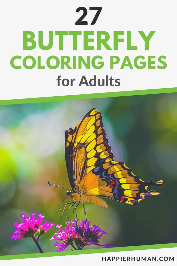 butterfly coloring pages for adults | butterfly coloring pages for adults pdf | butterfly coloring pages printable