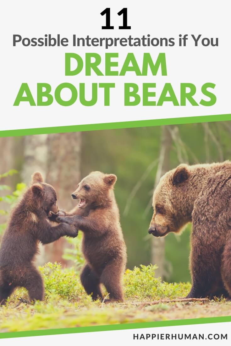 dream about bears | dreaming about bears | bear dream