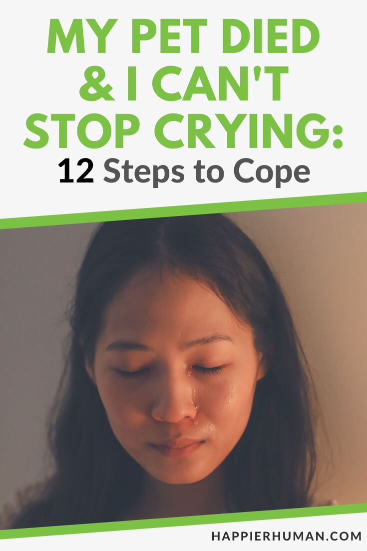 my pet died and i can't stop crying | coping mechanism | how to stop crying