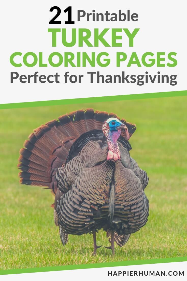turkey coloring pages | coloring pages | thanksgiving