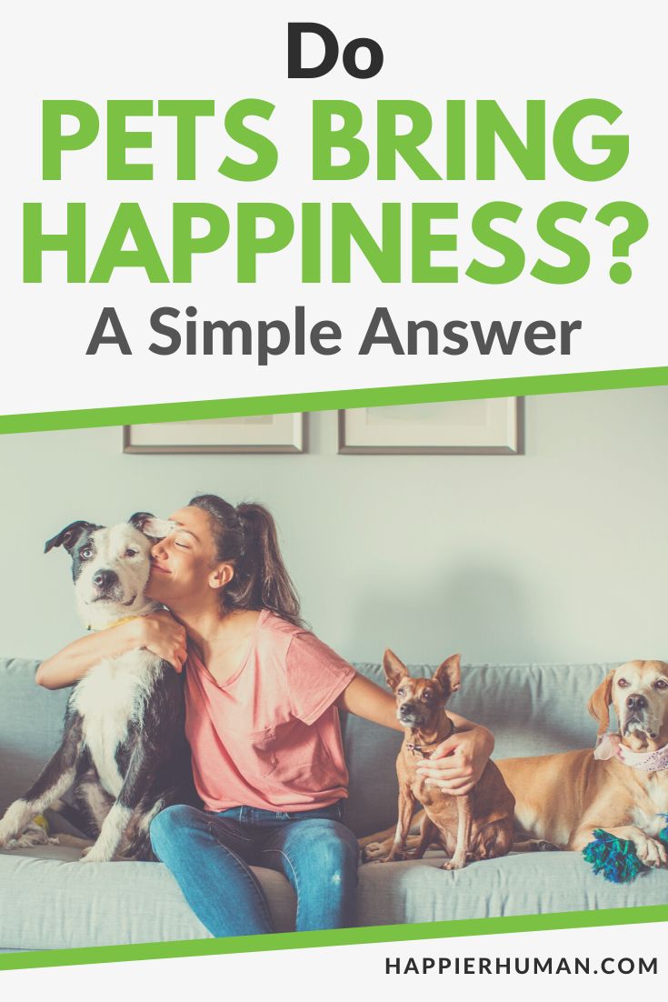 do pets bring happiness | benefits of having pets | how can pets make you happy