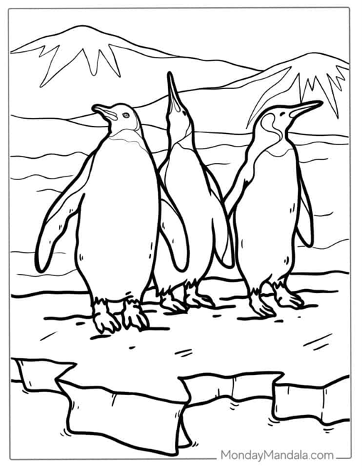 penguin coloring pages | coloring pages for penguins | best penguin coloring page for kids